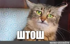 1000000164.webp